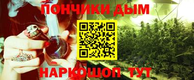 гашик Кинель