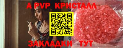PSILOCYBIN Кингисепп