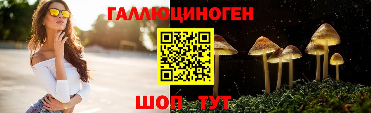 Волхов  Галлюциногенные грибы Magic Shrooms  Галлюциногенные грибы GOLDEN TEACHER  Вход с VPN 