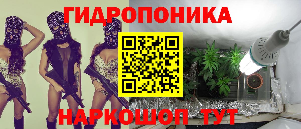 МАРИХУАНА конопля Волхов